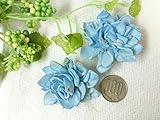 ソラーフラワー　ダリア　ブルー