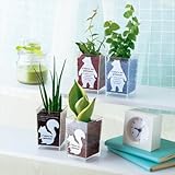 アニマルグリーン /インテリア　グリーン　癒し　空気浄化　ハイドロカルチャー 1セット入数/24 【24点】