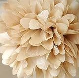 keeeady 10 個入り ティッシュ ボール紙のポンポン花結婚式のパーティーの装飾、アイボリー