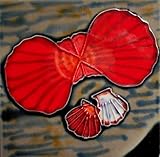 Tile Craft shell ceramic art tile 6 x 6 inches with easel back [並行輸入品]