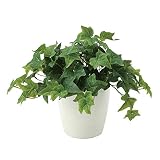 観葉植物 造花 「フレッシュアイビー 30cm」 光触媒(空気清浄) インテリアグリーン 鉢植え