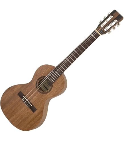 Amazon | ARIA アリア ミニアコースティックギター ASA-18 N ケース