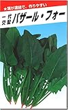 ほうれん草種子・バザールフォー（50ml）