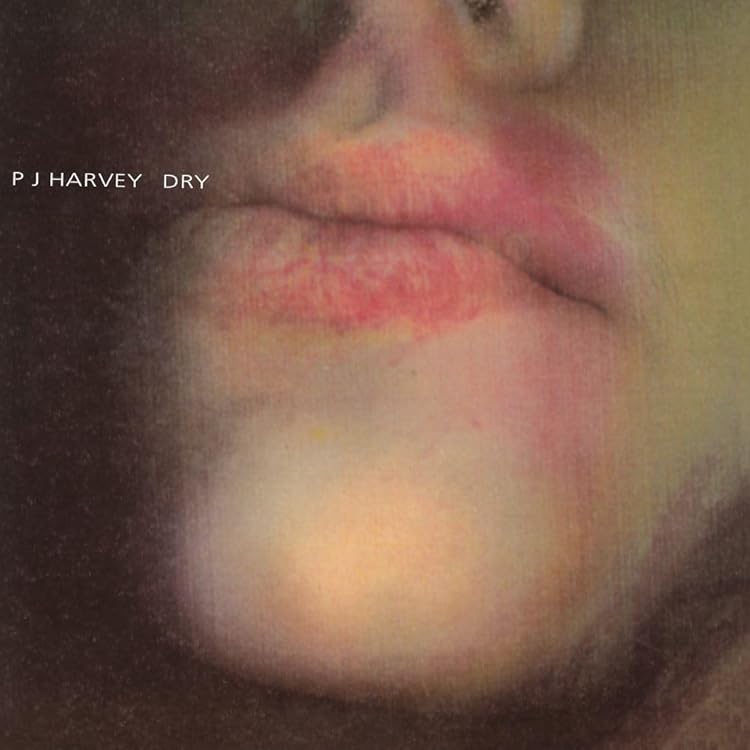 絶版 PJ Harvey 「The Hollow of the Hand」大型本 絶版 PJ Harvey 「The Hollow of the Hand」大型本 絶版 PJ Harvey