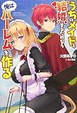 うちのメイドと結婚するためなら俺はハーレムを作る1 (オルギスノベル)
