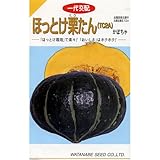 かぼちゃ 種 【 ほっとけ栗たん 】 種子 小袋（約18粒）