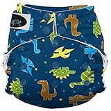 Imagine Baby Products Stay Dry All-In-One Snap Diaper, Rawr by Imagine Baby Products