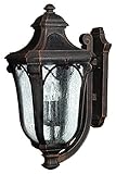 Hinkley Lighting 1319MO Trafalgar 3-Light Outdoor Light, Mocha by Hinkley