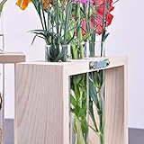 B Baosity 花　植物　壁　ハンギング　壁掛け　クリスタル　ガラス　試験管　花瓶　木製　スタンド　2個　お買い得　