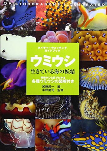 ウミウシ―生きている海の妖精 (ネイチャーウォッチングガイドブック)