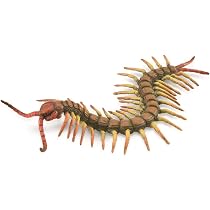 Amazon | COLLECTA 昆虫フィギュア ムカデ 88885 | フィギュア・ドール