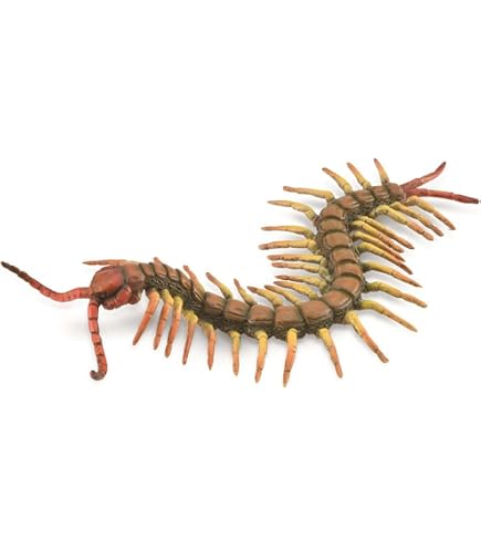 Amazon | 【動物の惑星】「日本限定」Gen2 ニシアフリカトカゲモドキ