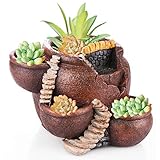 MOOBOM 植木鉢 樹脂製品 多肉 植物 鉢植え 陶器みたい見た目 古風いっぱい 可愛さもいっぱい 部屋/店/庭/棚 いろんな所で大活躍