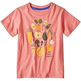 【正規取扱店製品】patagonia パタゴニア ベビーグラフィックオーガニックＴシャツ 60386 ピークピンク 4T