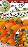 フタバ種苗 【一代交配】 トマト TYグラッセ(オレンジ) 種・小袋詰(10粒)