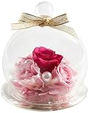 TEATSIGHT プリザーブドフラワー「ガラスポット入り 五輪のバラ」 クリアケース入り(ピンク×ピンク)