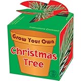 Grow Your Own Christmas Tree -- All contents included get growing by Mammoth XT Supplements