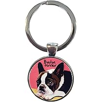 Amazon | 犬 ポーチ / ボストンテリア5/雑貨/グッズ/オリジナル