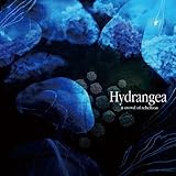 HYDRANGEA