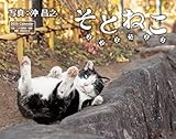 カレンダー2025 そとねこ（月めくり/壁掛け） (インプレスカレンダー2025)