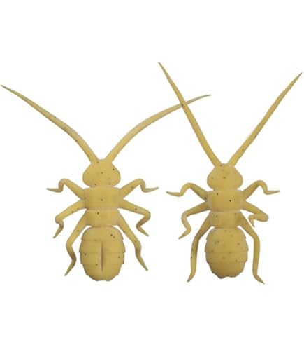 Amazon.co.jp: OSP ワーム オリカネムシ II OM024ブラック : スポーツ