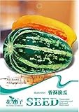 ホット販売スウィートメロン種子フルーツ＆野菜種子の20枚盆栽種子、メロンの種、オリジナルパッキング