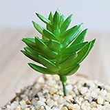LuxBene(TM) ミニシミュレーション多肉植物1PCSエキナセア人工花DIY装飾人工多肉植物植物庭の装飾E6