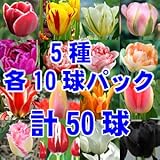 もっとお買い求め安く50球セット登場！ 手軽にチューリップ三昧！ 5種各10球の合計50球のチューリップをお届け！ *お届け地域によっては別途送料がかかる場合があります