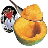 国華園　果樹苗　フェイジョア　クーリッジ　1株【※発送が国華園からの場合のみ正規品です】