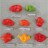 ビッグセールス!!! 100個、世界で最もホットな唐辛子の種、混合熱いペッパー、レア唐辛子の種、プラスミステリアスギフト