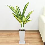 人工観葉植物 ドラセナ スクエア陶器鉢 光触媒加工