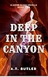 Deep in the Canyon: A Western Novella (Jacob Payne, Bounty Hunter Book 2) (English Edition)