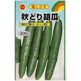 秋どりきゅうり (霜しらず) (538)