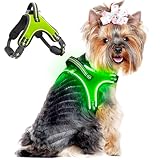 LED 犬のハーネス 2024最新 充電式 反射犬用ハーネス ライトアップ犬 ハーネス ハンドル付き 快適な 通気性 4 点調節可能 なライト付き犬用ベストハーネス 小型・中型・大型・超大型犬用 (グリーン, L)