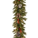 National Tree 9 Foot by 10 Inch Frosted Berry Garland with 100 Clear Lights (FRB-9GLO-1) by National