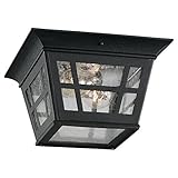 Sea Gull Lighting 78131-12 2-Light Herrington Flush Exterior Close to Ceiling Light, Black [並行輸入品]