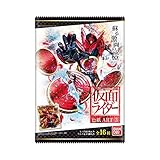 仮面ライダー 色紙ART3 (10個入) 食玩・清涼菓子 (仮面ライダー)