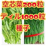 空芯菜の種子は200粒 ディルの種子は1000粒