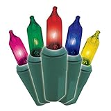 Brite Star 150 Count 8-Function Chasing Light Set Green Wire Multicolor【クリスマス】【ツリー】 [並行輸入品]