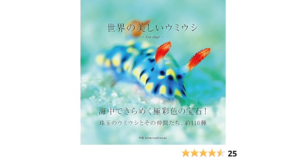 世界の美しいウミウシ パイ インターナショナル 本 通販 Amazon
