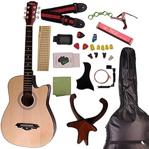 (Blues)アコースティックギター フォークギタータイプ F-301M 初心者入門チューナーピックセット16点セット 10色 が気軽に入門練習をする