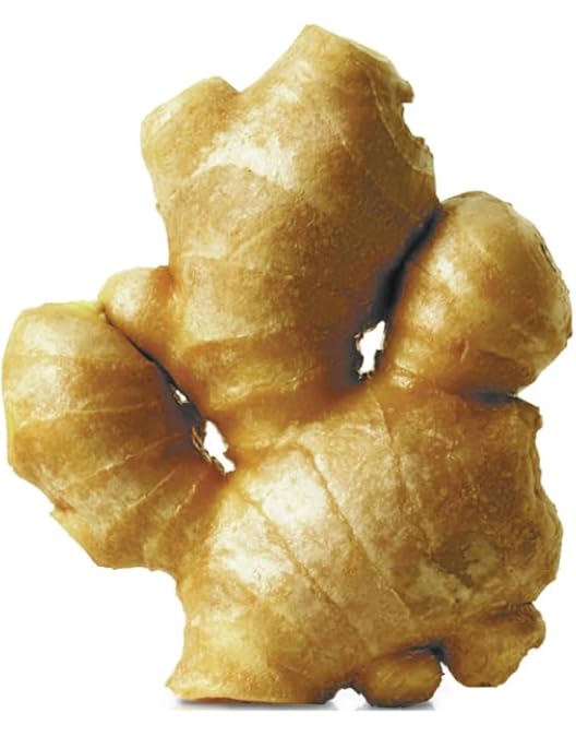 Amazon.co.jp: 土佐の旨味市場 親生姜 無農薬 しょうが 土付き 4キロ