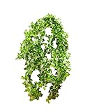 [comoza] 人工 観葉植物 グリーン 造花 インテリア 壁掛け ツルス 葉 リーフ (グリーン)