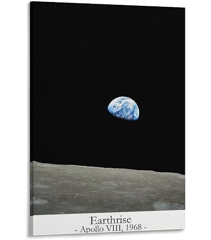 Amazon.co.jp: ブルース・リー心に強く訴える壁アートキャンバス