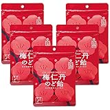 森下仁丹 梅仁丹のど飴 60g (約17粒×5袋セット) [ のど飴 梅仁丹味 のどあめ 紀州産梅肉エキス 11種のハーブエキス ビタミンC 配合 ]