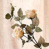 BAGEHUA 人工的な花のバラの花の花束の装飾インテリアリビングルームシミュレーション人工シルクフラワーローズ、サフラン