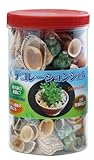 菜菜畑 デコレーションシェルM(700g)F6666