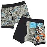 ドラゴンボールスーパー超 ボクサーパンツ ブリーフ 2枚組 肌着 fo-77b058 (120)