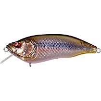 Amazon.co.jp: メガバス(Megabass) ITO SHINER SSR FA ゴースト