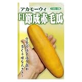フタバ種苗 うちな～交配 F1節成赤毛瓜 小袋詰(10粒)